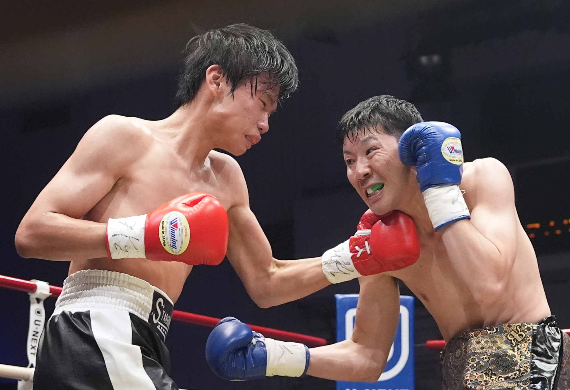 ボクシング douraku1967 ボクシング douraku1967 ボクシング douraku1967 ボクシング