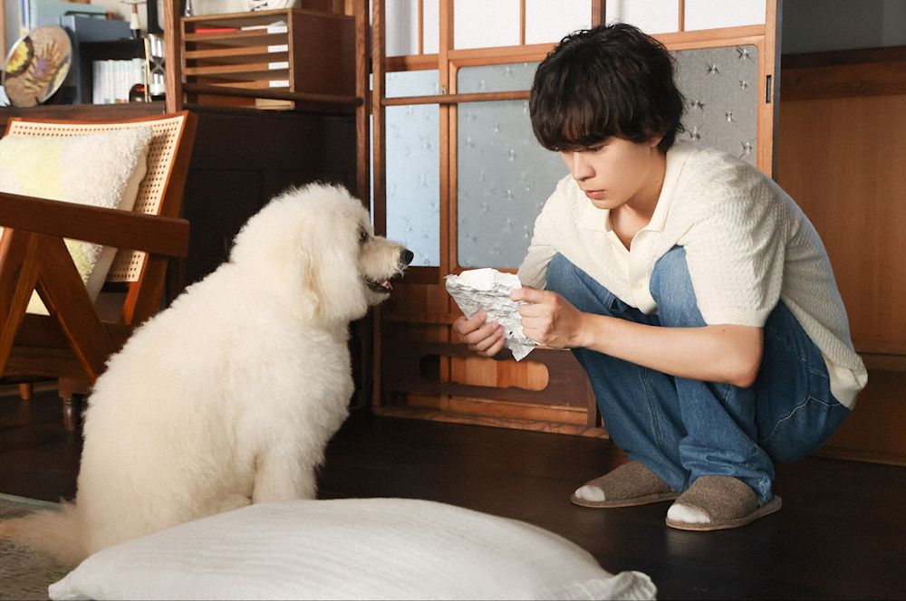 『初恋DOGs』第8話