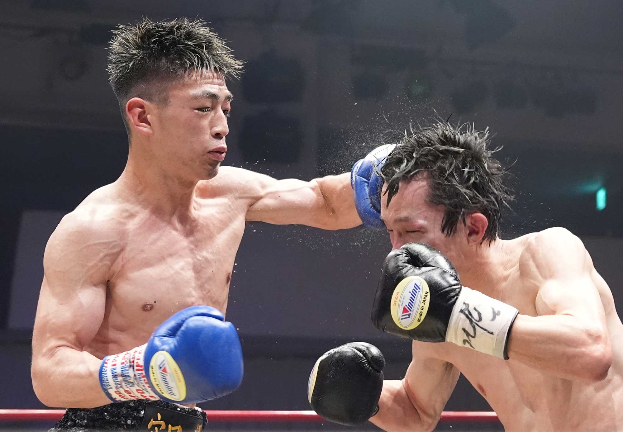 WHO'S NEXT_13_02-23KnockdownPunch