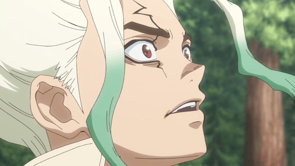 Dr.STONE SCIENCE FUTURE