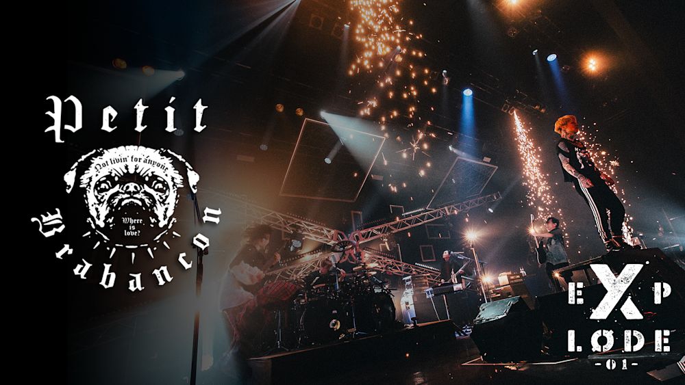 Petit Brabancon EXPLODE -01-