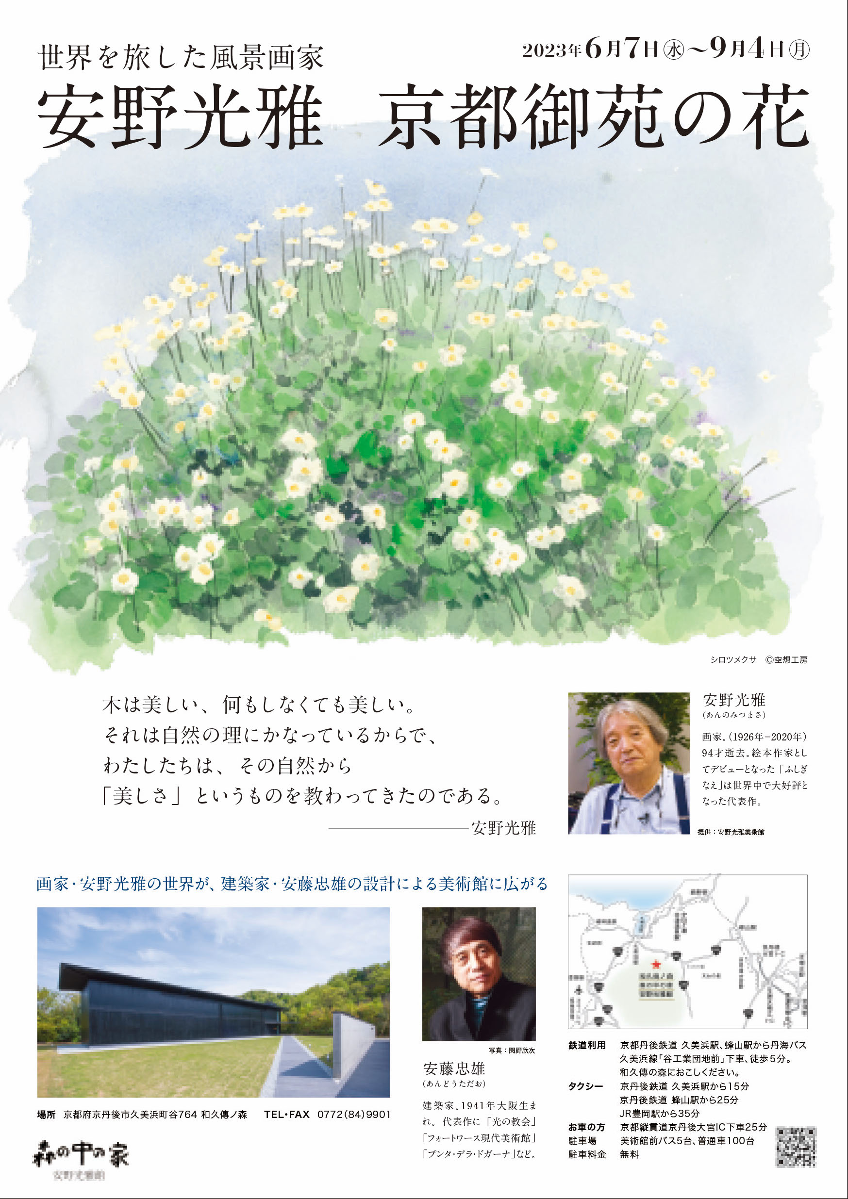 安野光雅 「京都御苑の花」 （森の中の家 安野光雅館） ｜Tokyo Art Beat