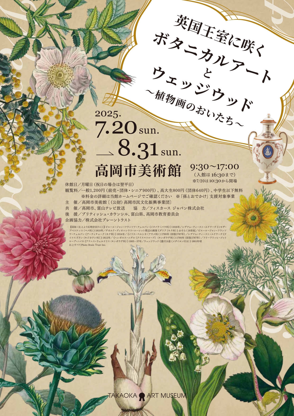【美品】1937年 チェコの美しい高山植物 植物図鑑 ボタニカルアート 美しい高山植物]チェコの古い植物図鑑(1937年)/ボタニカルアート