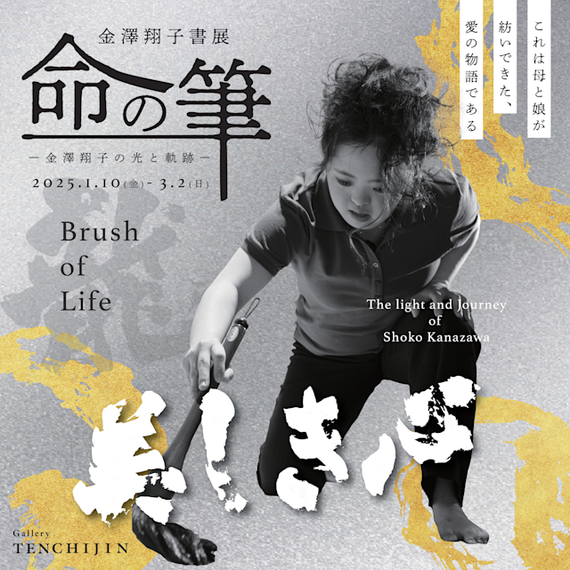 真作 京極 翔 美人画 新品 額付 直筆 人気 急上昇 美人画 京極 翔 入賞入選多数 個展 新品額付き 人気上昇 HOT，新品