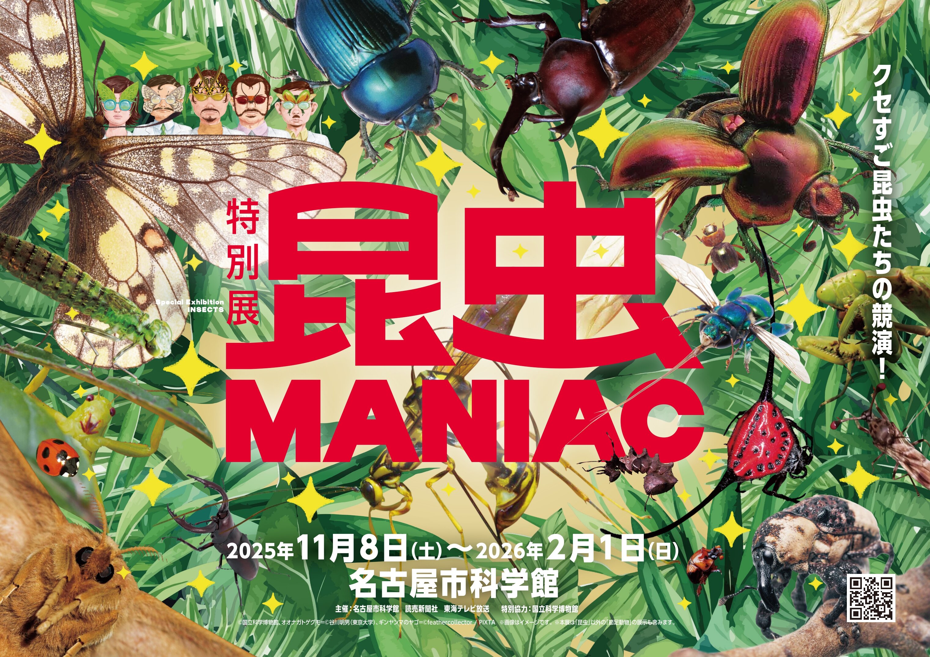 昆虫MANIAC」 （名古屋市科学館） ｜Tokyo Art Beat
