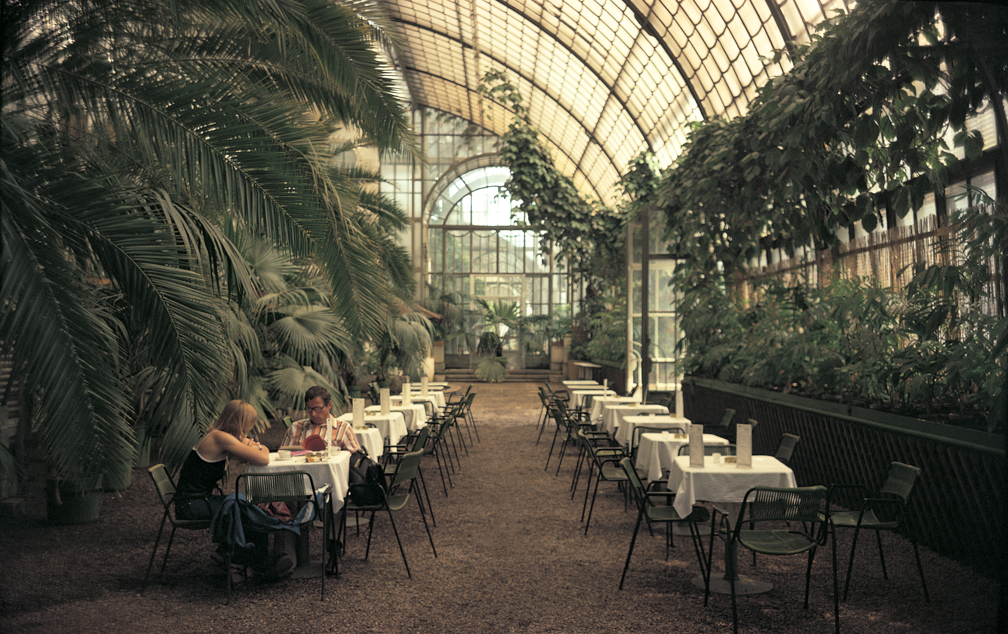 久保田晃二、樹のある風景、希少な画集より、新品高級額 田中長徳 「WIEN KODACHROME 70's」 （Gallery Bauhaus） ｜Tokyo Art Beat