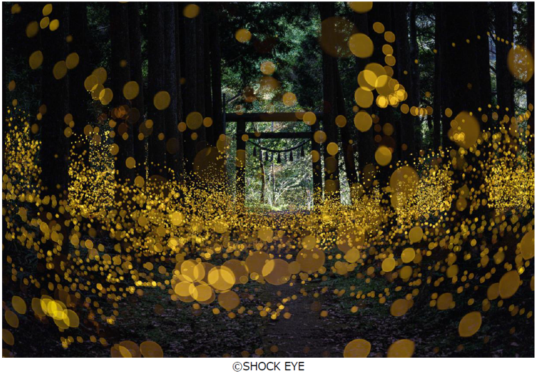 芸術写真 TIMES SQUARE REFLECTION SHOCK EYE 「和景讃歌」 （FUJIFILM SQUARE） ｜Tokyo Art Beat