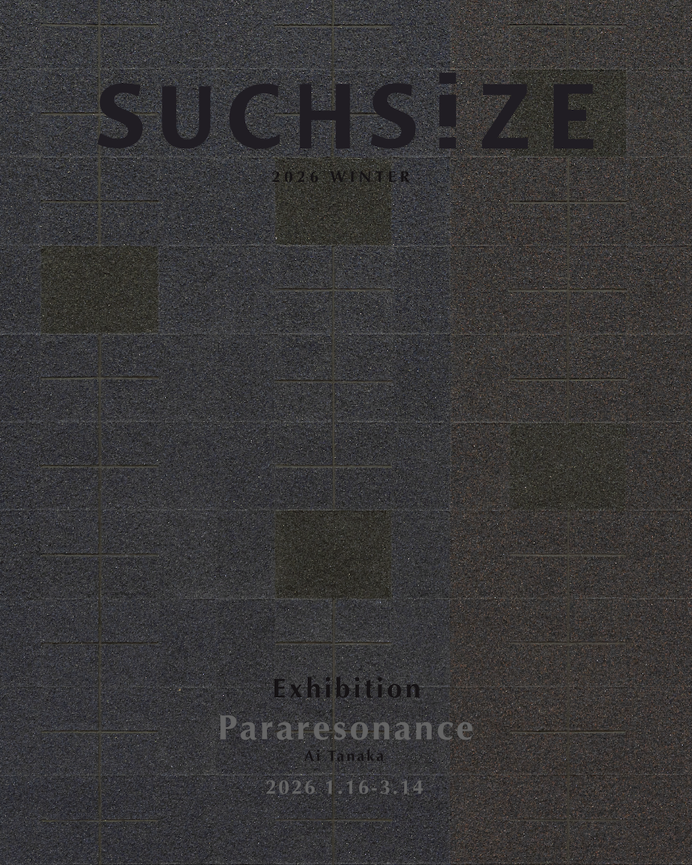 田中藍衣 「Para-resonance」 （SUCHSIZE（サッチサイズ）） ｜Tokyo