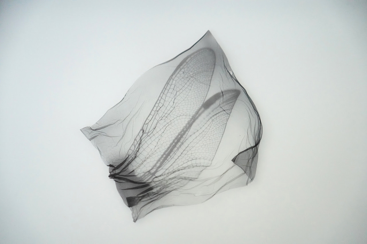 unnamed-5.jpg?w=1200