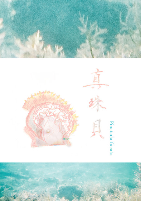 Q Hisashi Shibata + 大地千登勢 「真珠貝 — Pinctada Fucata
