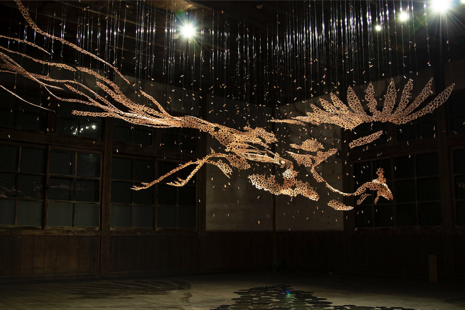 ____________________________20