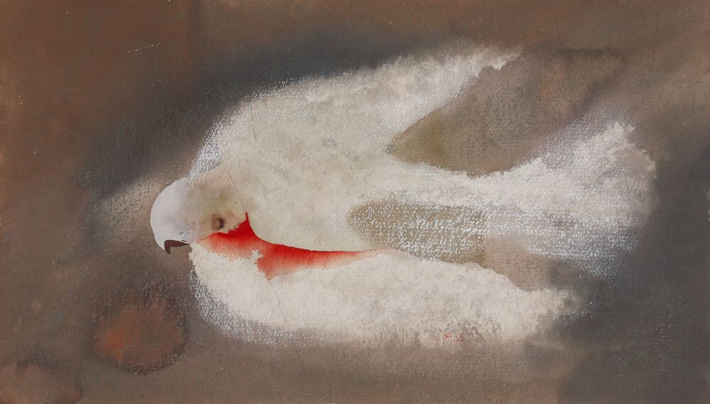 JP670050_MG_2030.jpg?w=784&h=