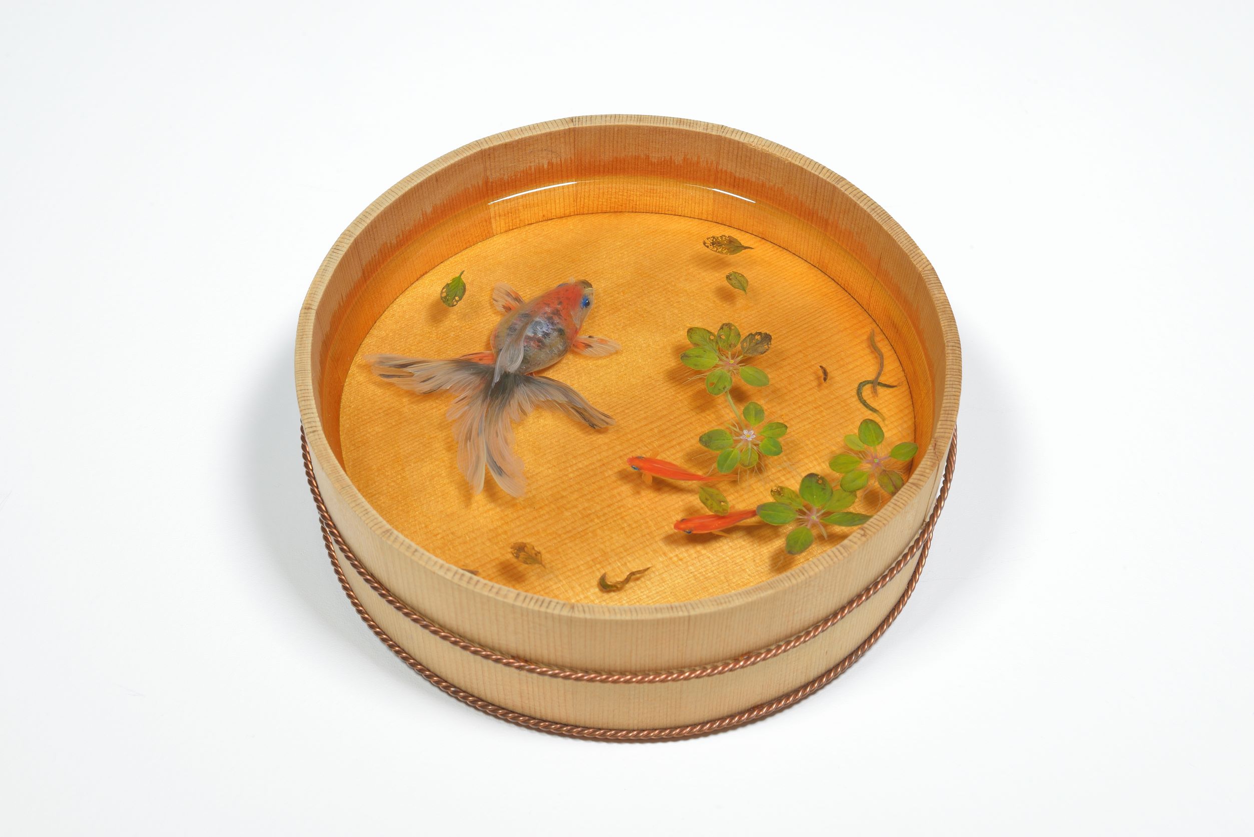 深堀隆介 「金魚絵思」 （阪神梅田本店） ｜Tokyo Art Beat