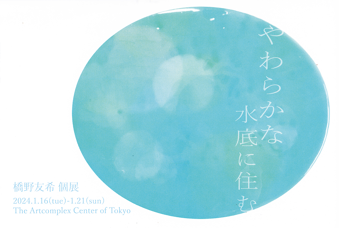 橋本僕々　アート 橋野友希 「やわらかな水底に住む」 （アートコンプレックスセンター