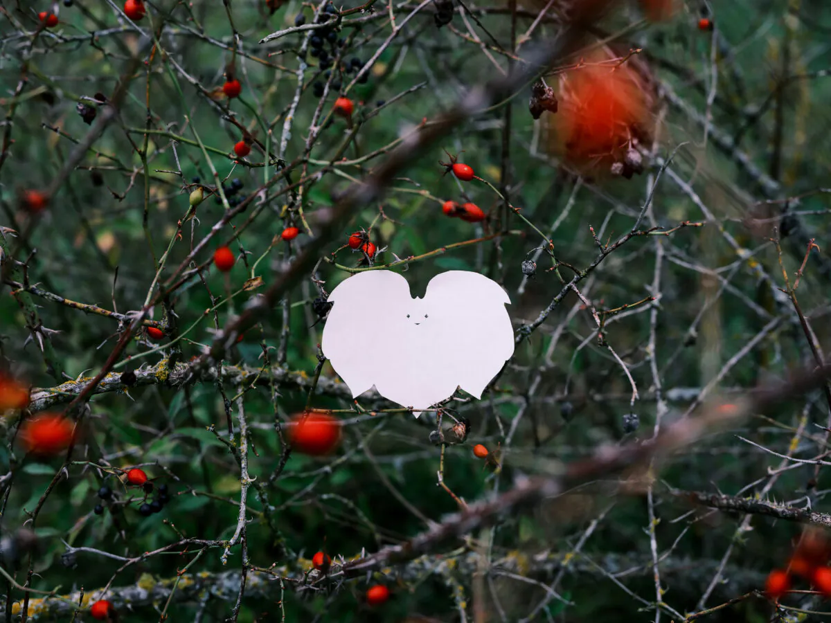 Dotok Days by Sari Shibata