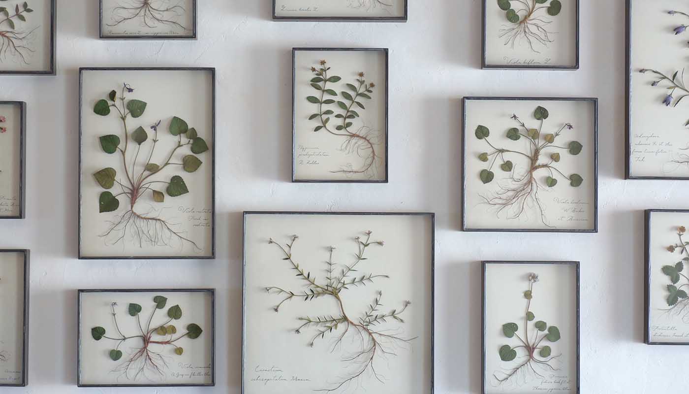 モリソン小林 「北アルプス」 （IDÉE GALLERY） ｜Tokyo Art Beat