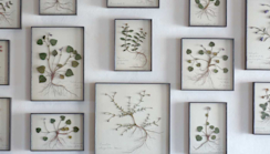 モリソン小林 作品 news_TYO_morison_202209.jpeg?w