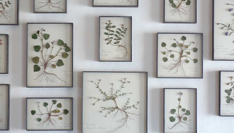 news_TYO_morison_202209.jpeg?w