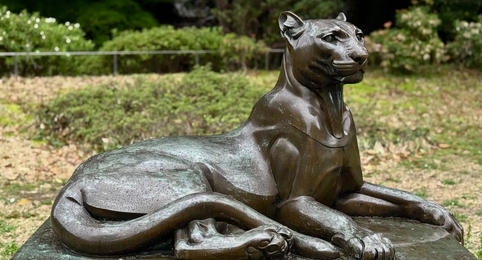 動物、人間、自然、そして歴史を結びつける。東京都庭園美術館の建築