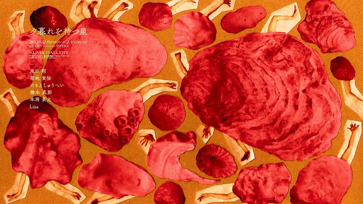 夕暮れを待つ星」 （クマ財団ギャラリー） ｜Tokyo Art Beat