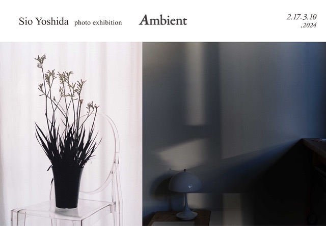 _240217_0310_Ambient_flyer_FIX