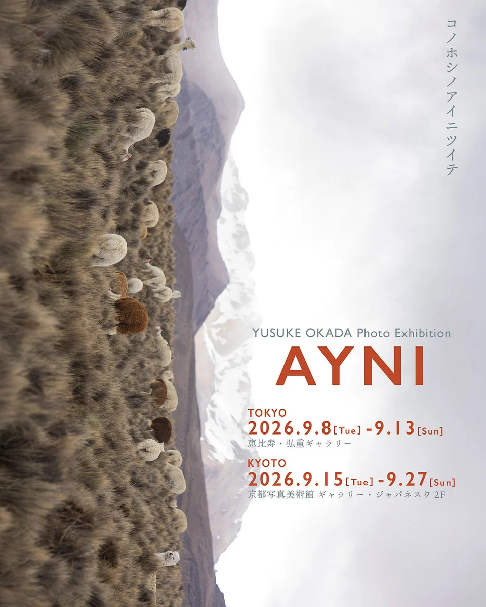 冈田佑介《Ayni》