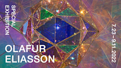 file__1_.jpeg?w=244&h=304&q=100