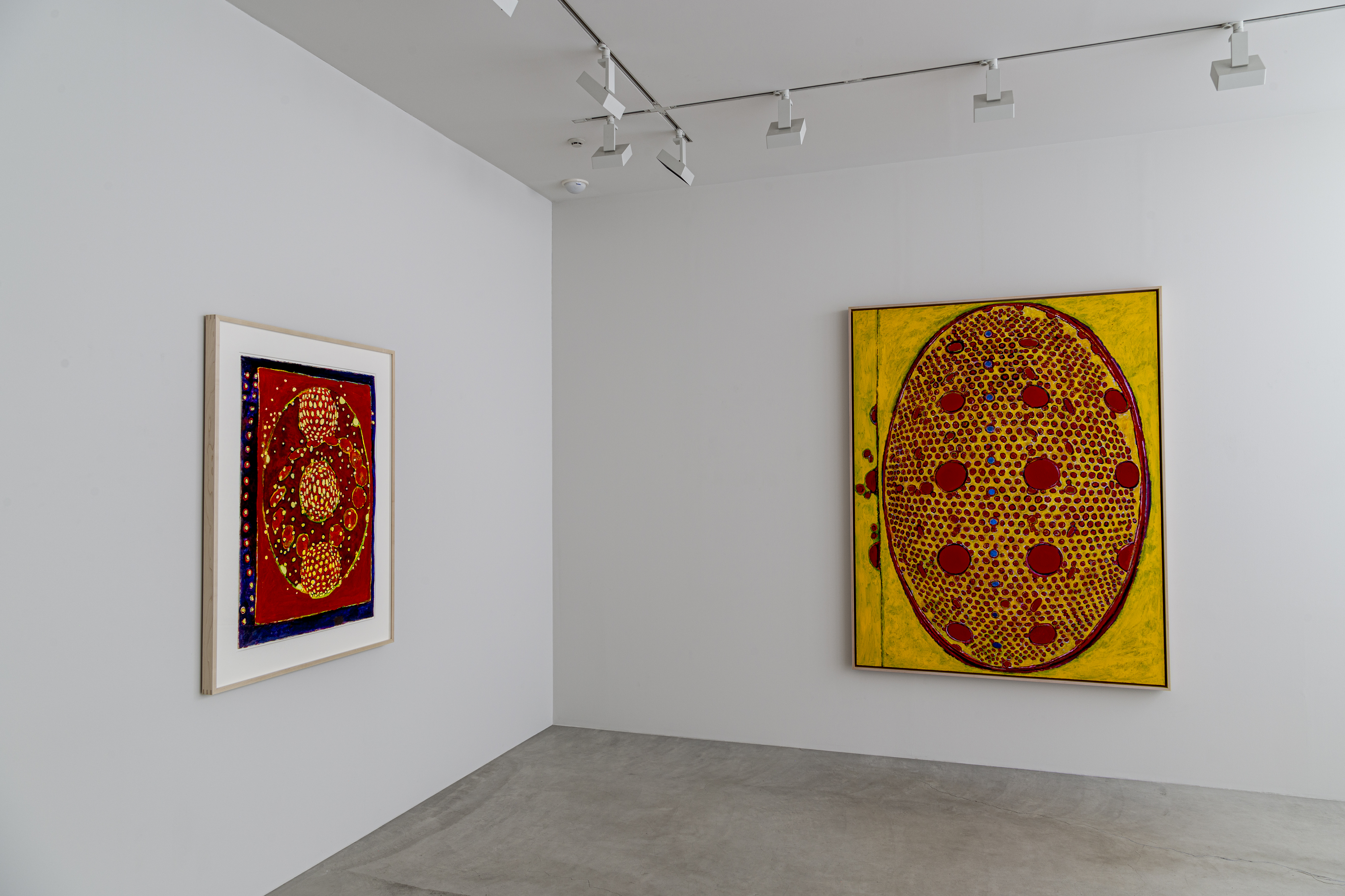 J01702【 複製画 TERRY WINTERS テリー ウインタース 32×24.8ｃｍ 】 検) エッチング 2/75 ニューヨーク ホイットニー ロサンジェルス ⅲ Terry Winters | Matthew Marks Gallery