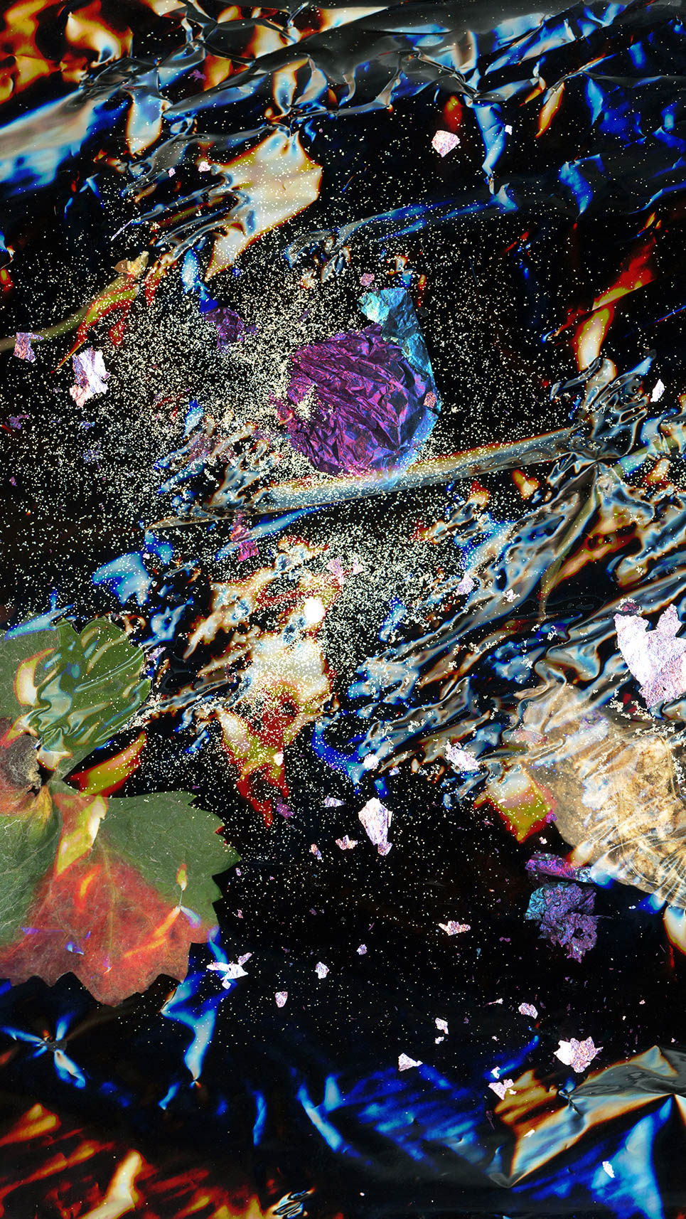 山田学 「生命、宇宙の華」 （HOSOO GALLERY） ｜Tokyo Art Beat