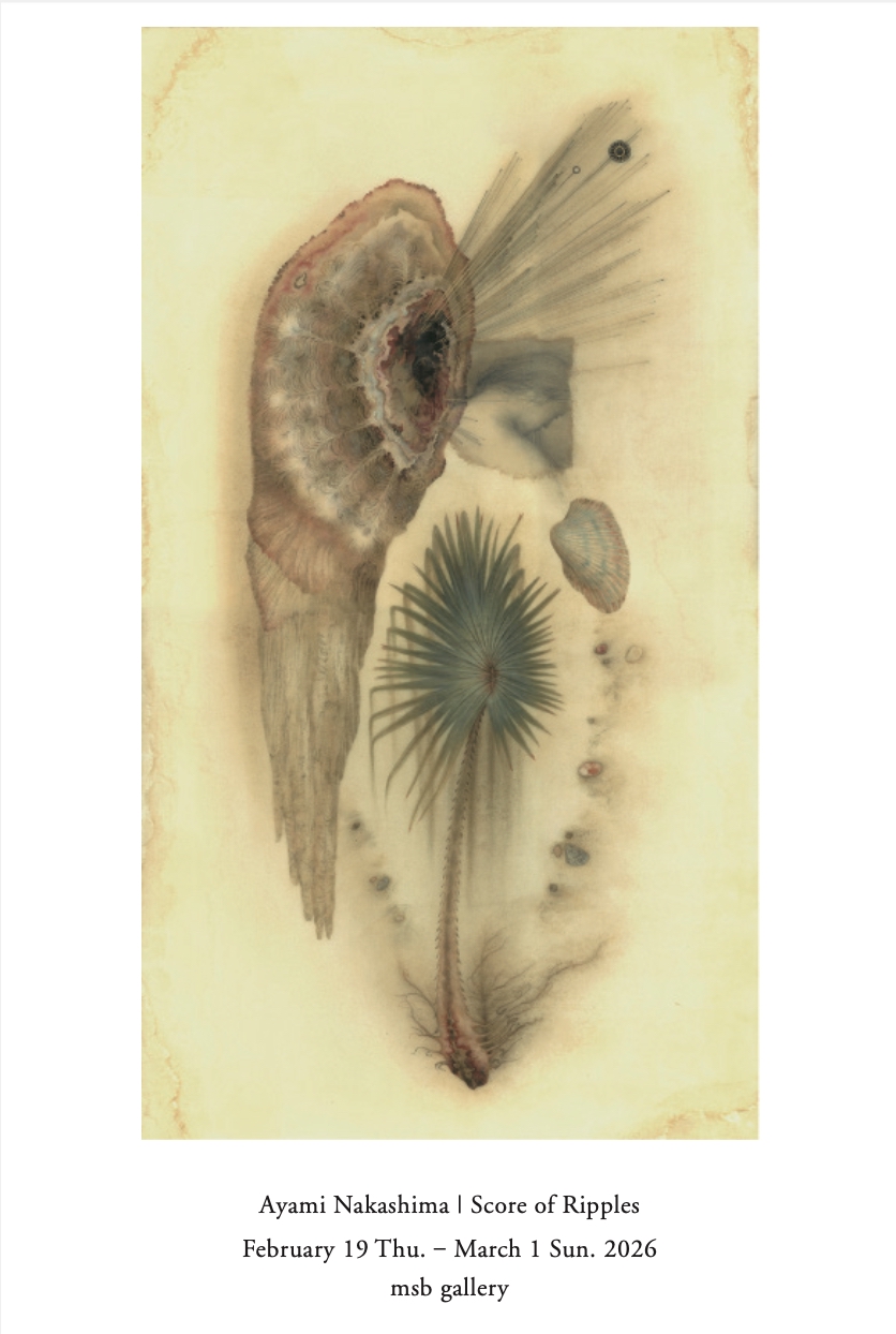 中島綾美 「漣の標本譜」 （msb gallery） ｜Tokyo Art Beat