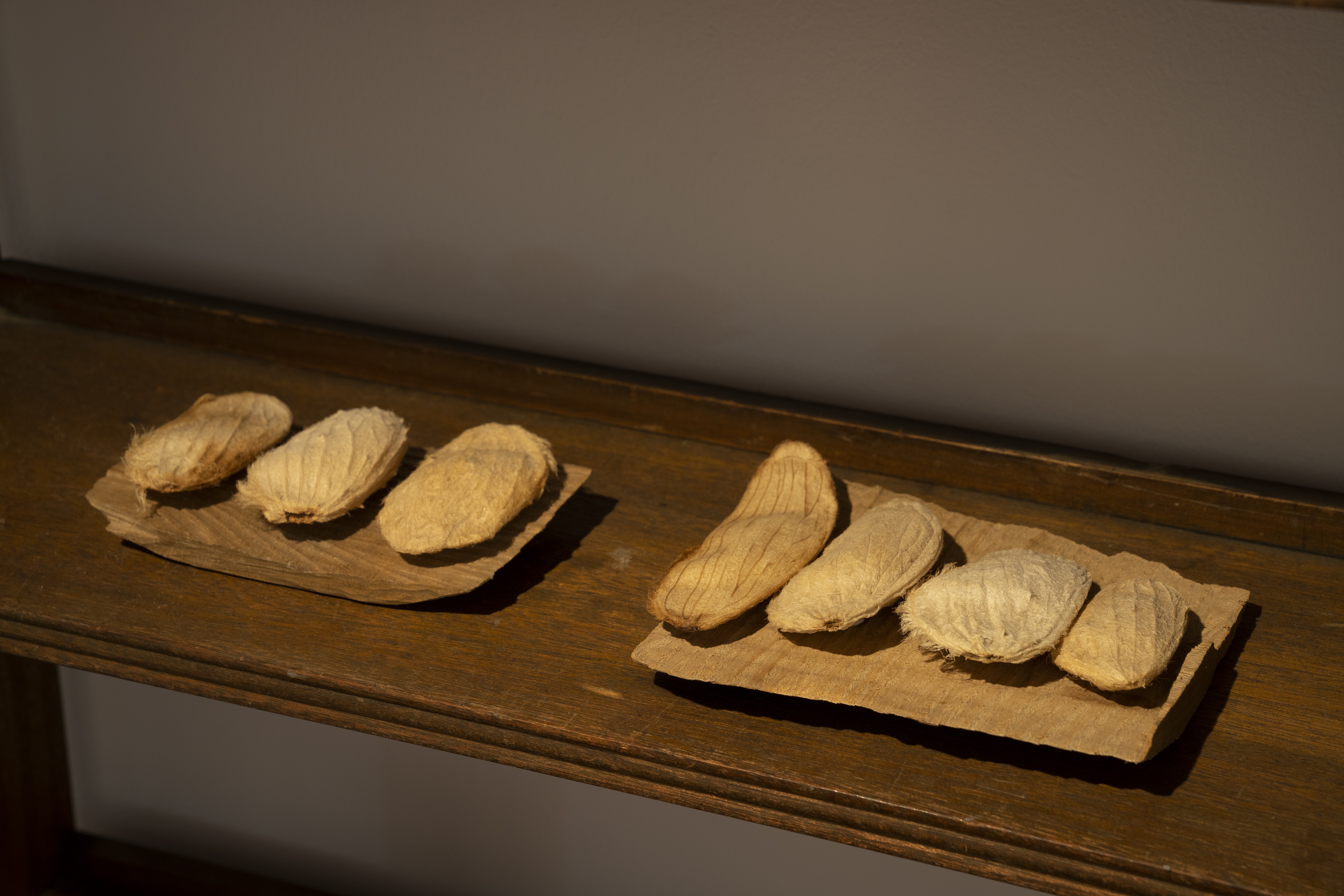 第八次椿会 ツバキカイ8 このあたらしい世界 ”ただ、いま、ここ