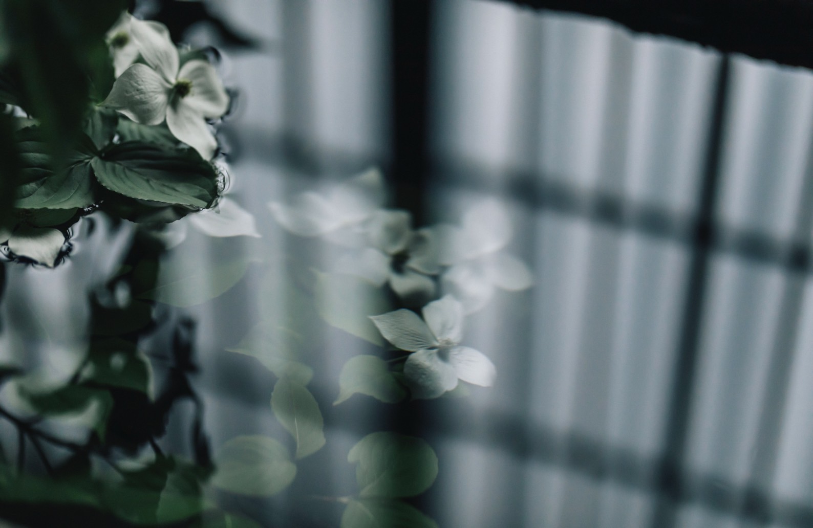 その時間の差し出し方 1 - 湯宿さか本 - 」 （BOOK AND SONS） ｜Tokyo