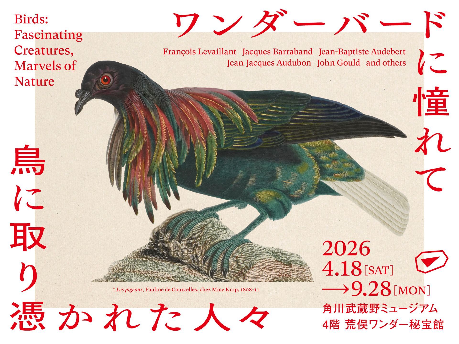 ワンダーバードに憧れて 鳥に取り憑かれた人々」 （角川武蔵野