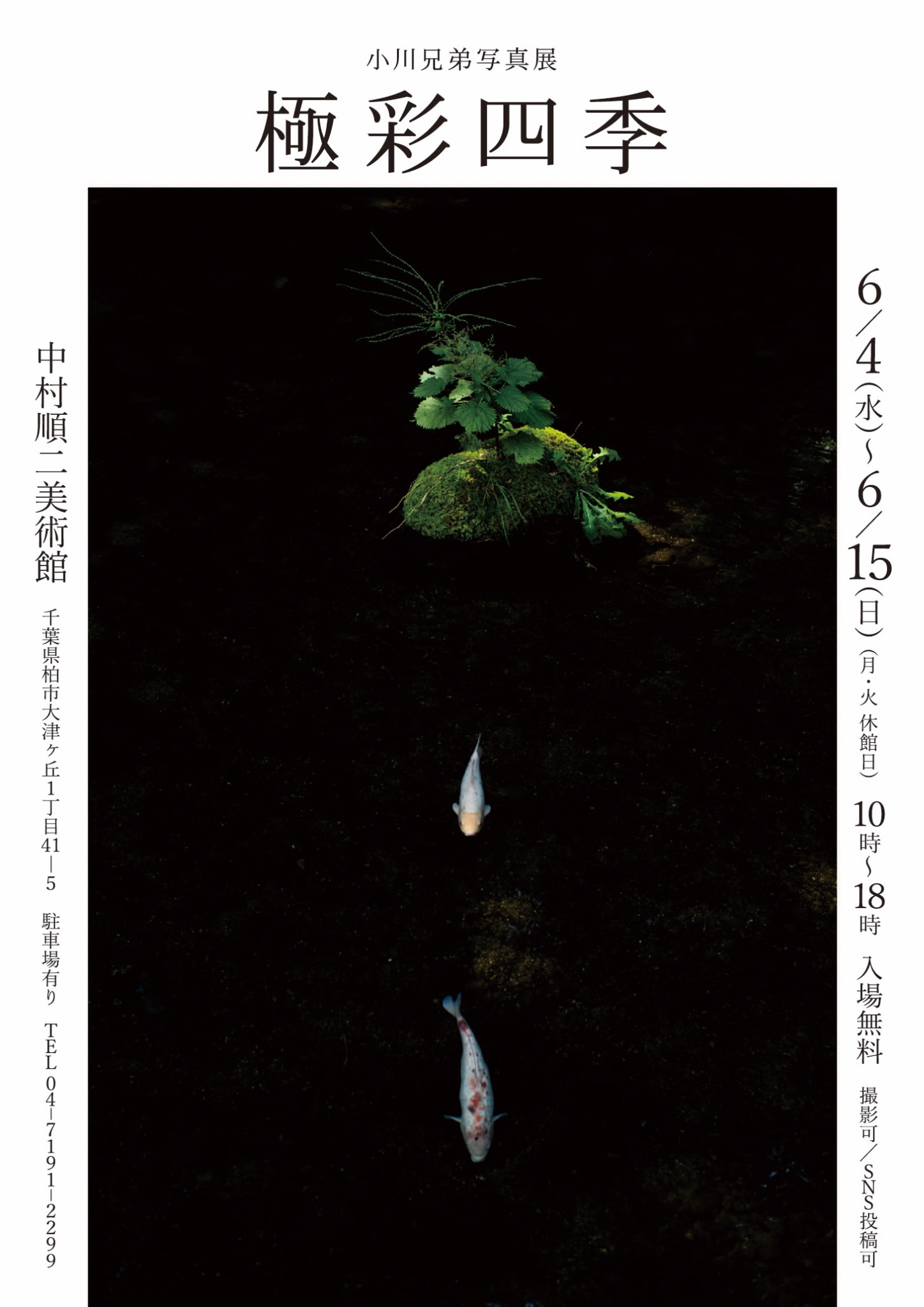 ポスター.jpg?w=244&h=304&q=100