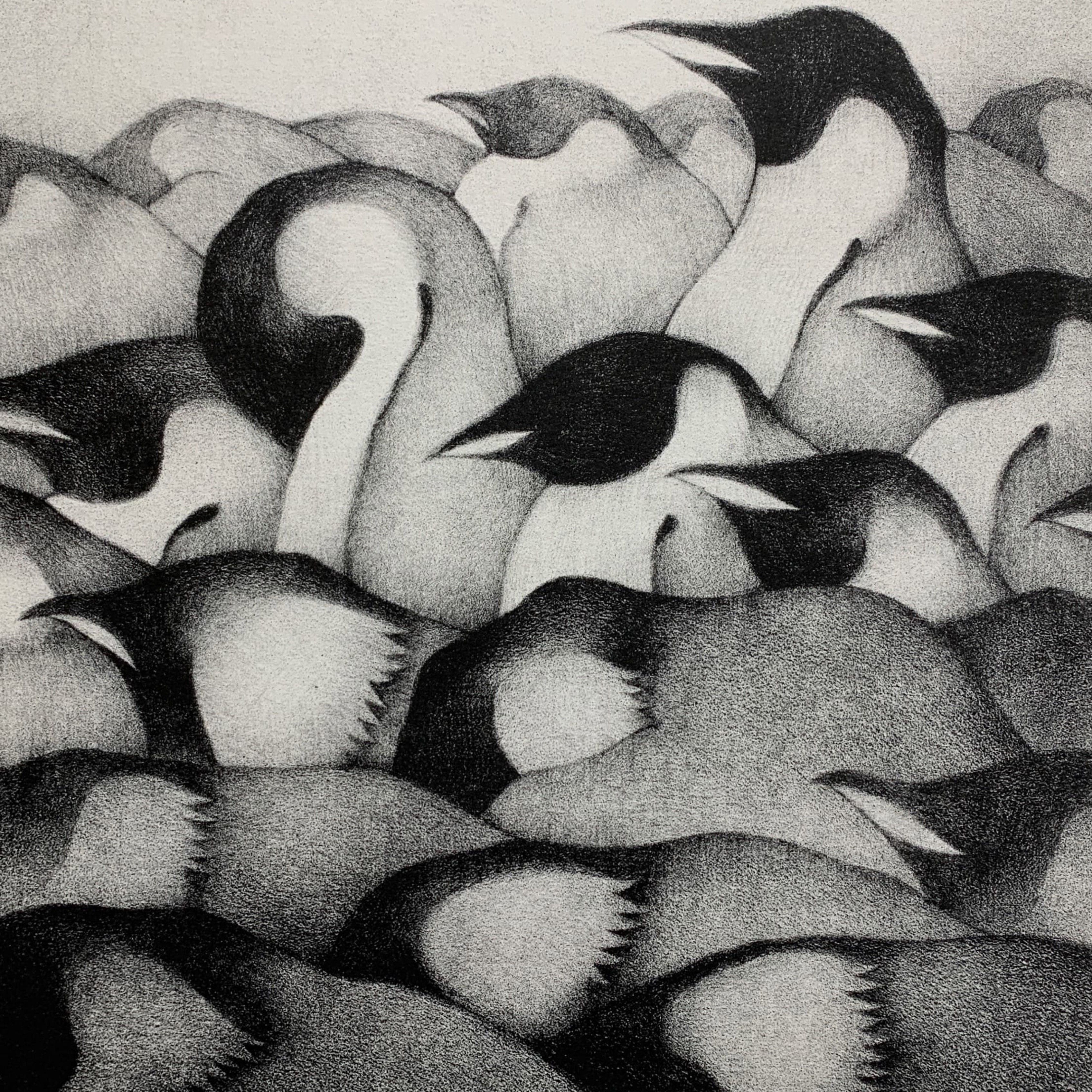 Shoko Kawai "The Birds Are Singing Again Today"