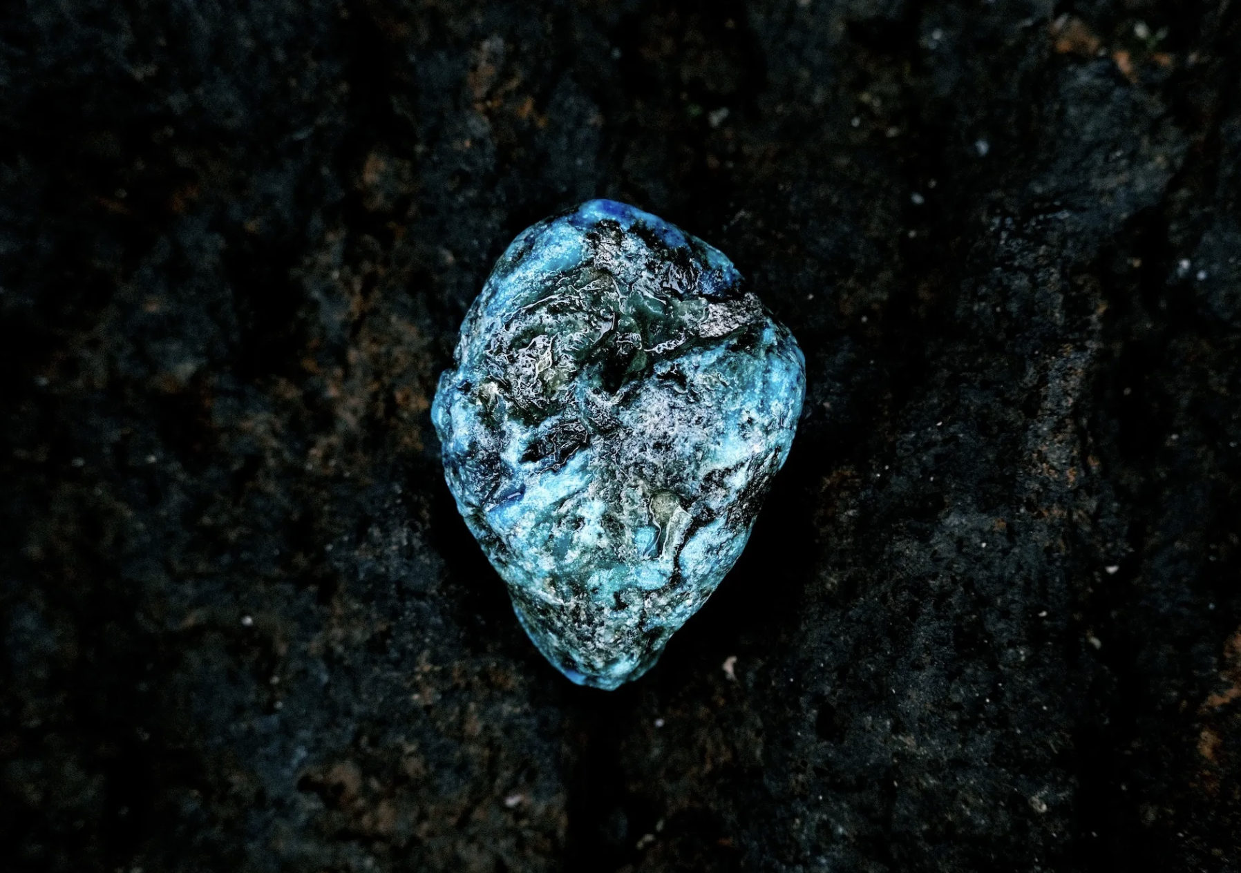 Sari Shibata "Cosmo Plastics"