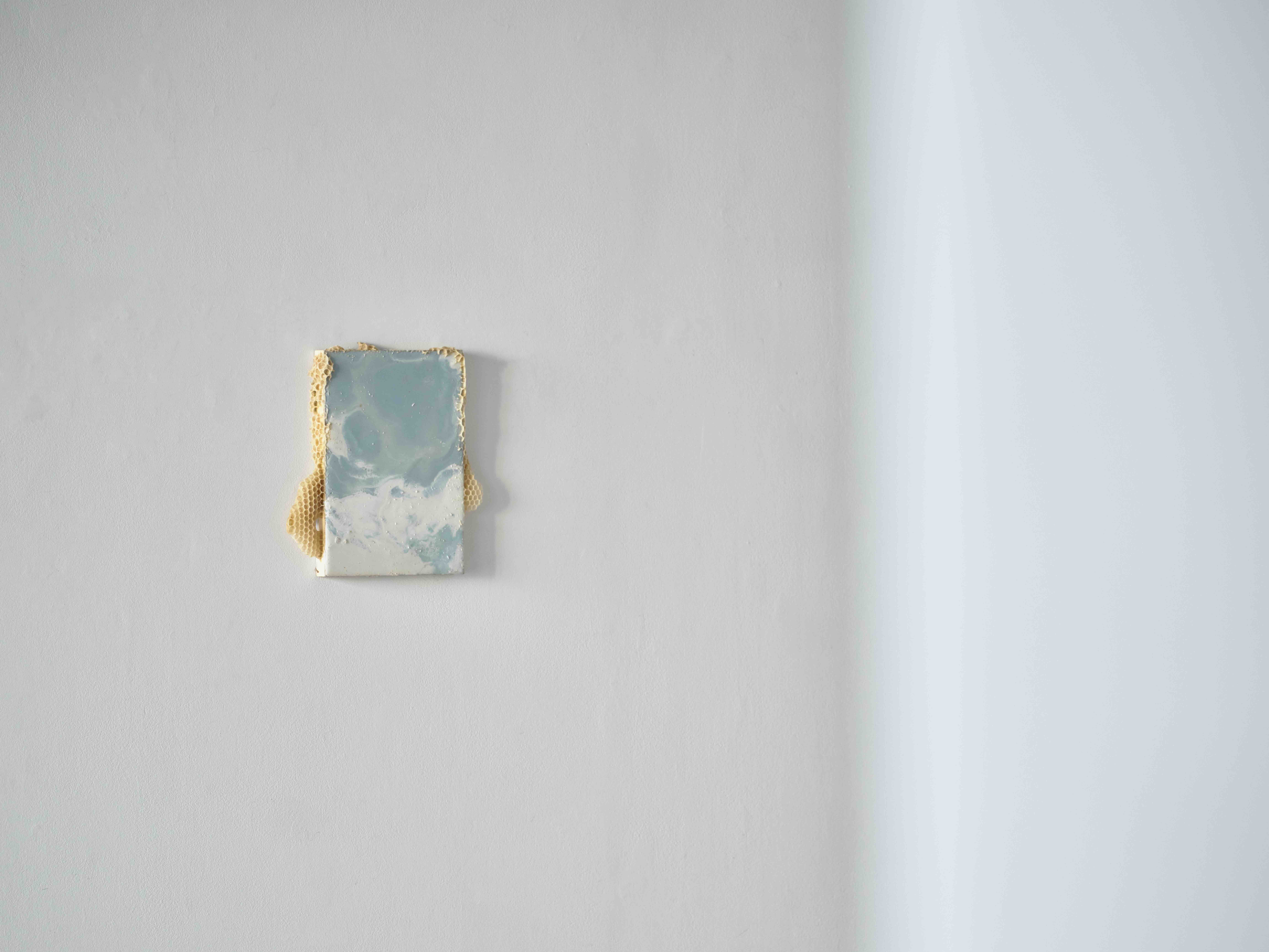 Messenger of the Cosmos: Sublimity in the Micros