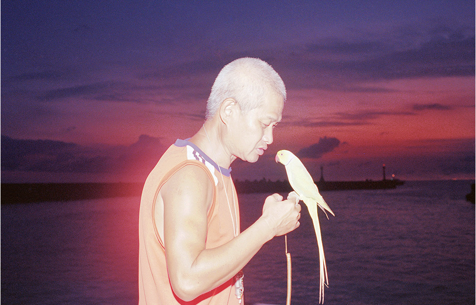 水島貴大 「環島回憶錄 Memoirs of Huandao」 （ニコンプラザ東京