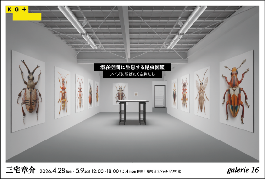 三宅章介 「潜在空間に生息する昆虫図鑑」 （galerie16） ｜Tokyo Art Beat