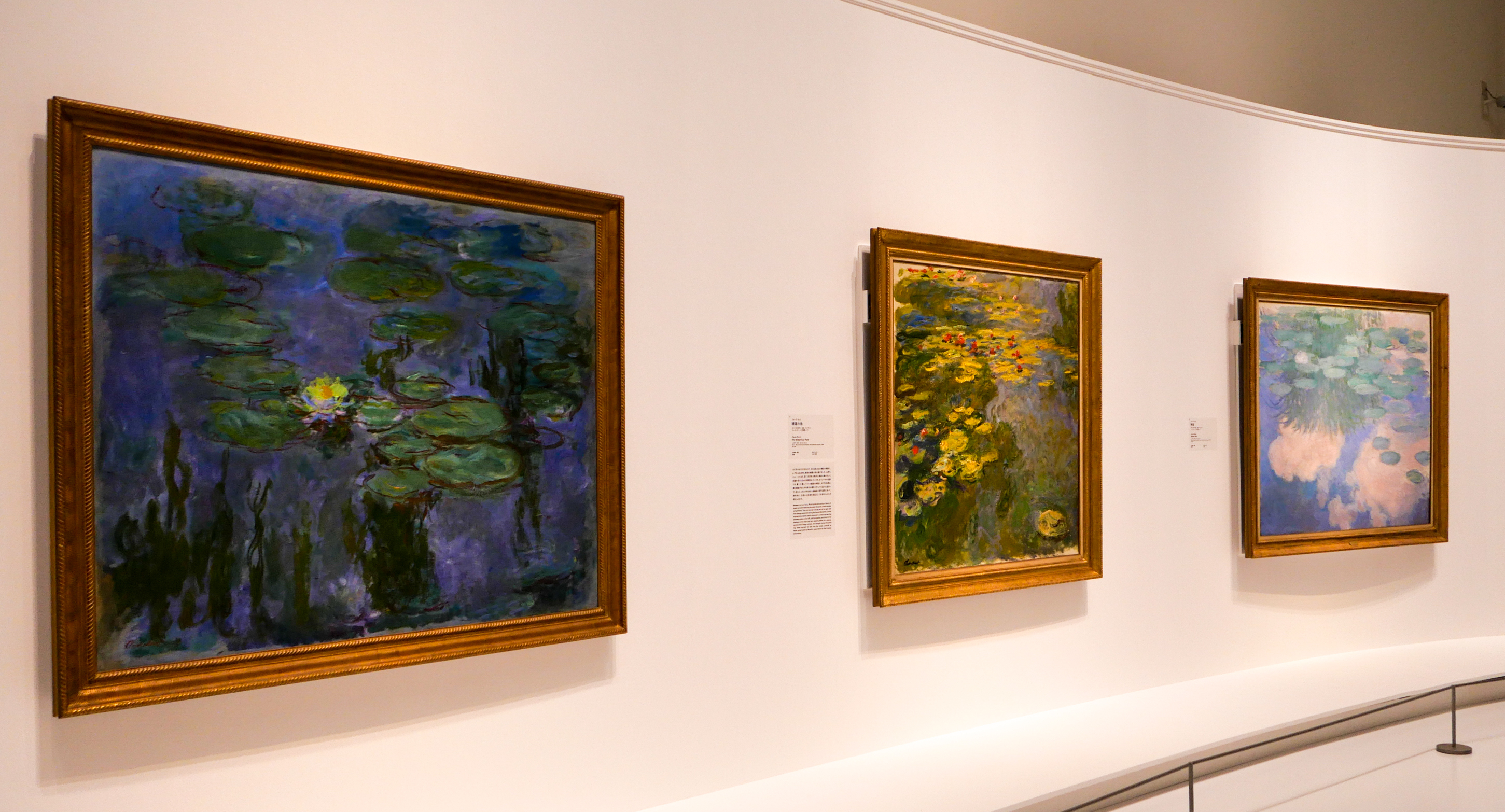 有料会員限定】「モネ 睡蓮のとき」（国立西洋美術館）チケットを10名