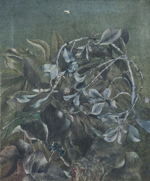 第3期 植物がアートになるとき」 （広島県立美術館） ｜Tokyo Art Beat