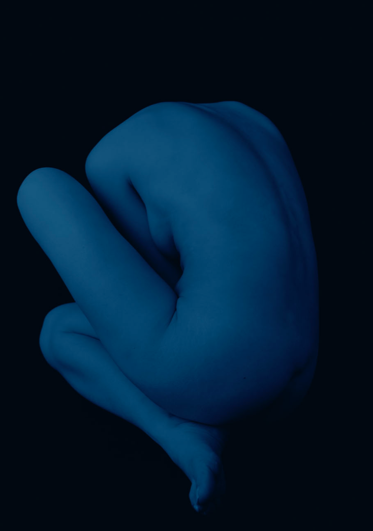 井津建郎 「BLUE」 （PGI） ｜Tokyo Art Beat