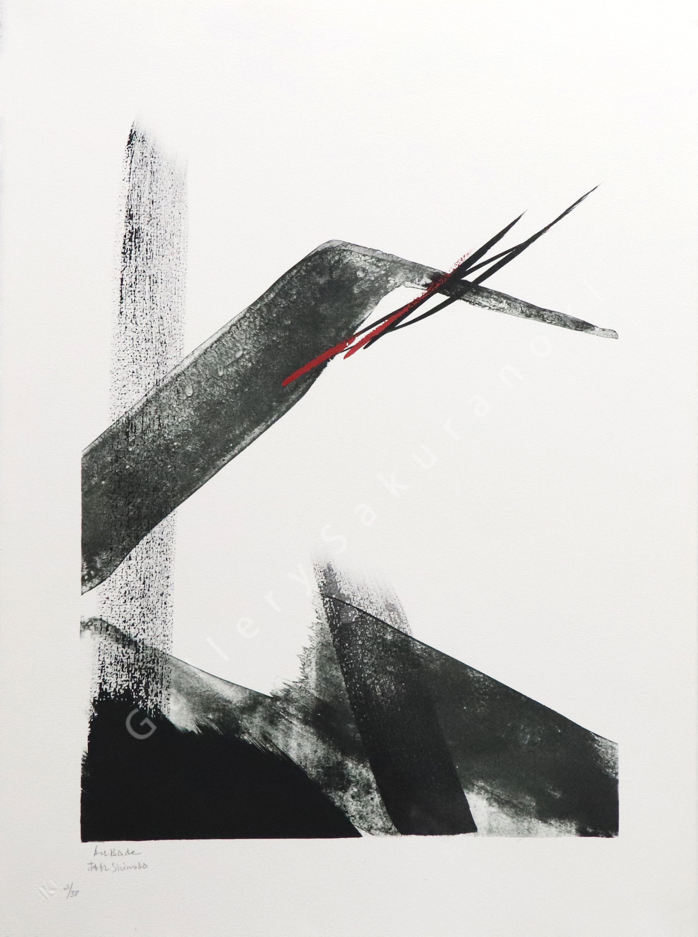 [廃盤•レア•美品] WORK OF ART / IN PROGRESS Toko Shinoda Exhibition （Gallery Sakura no Ki Ginza