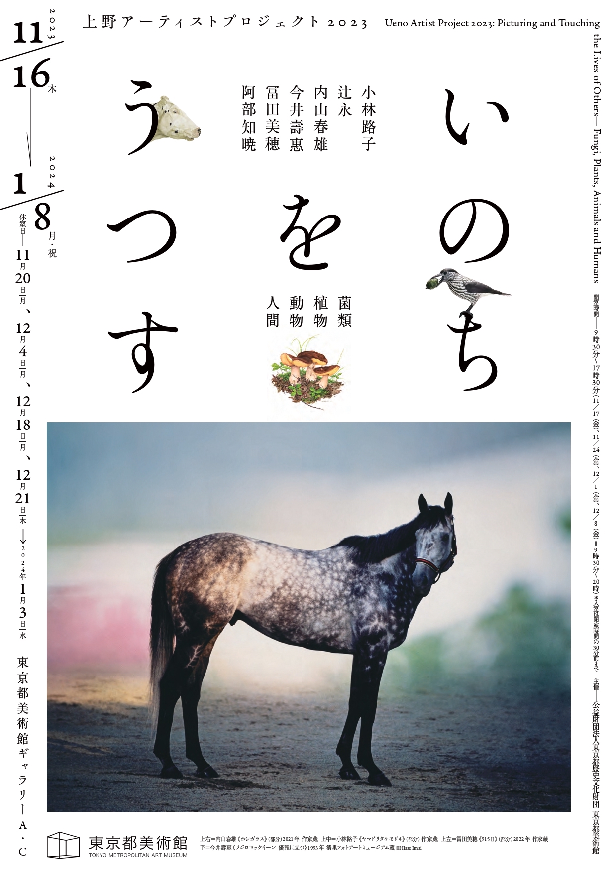 上野アーティストプロジェクト2023 いのちをうつす ―菌類、植物、動物