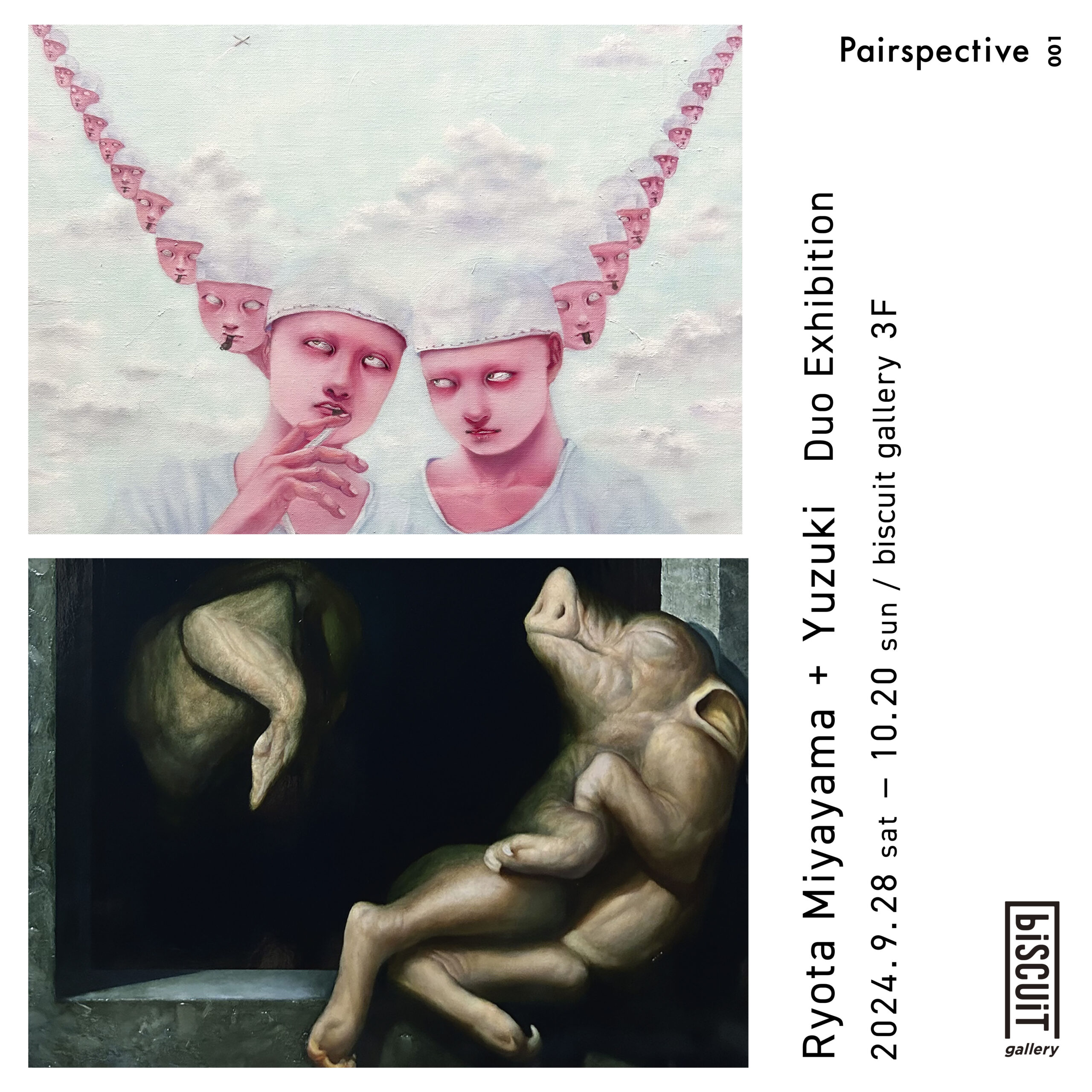 Pairspective_001___________.