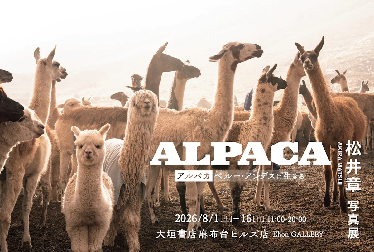 Akira Matsui "Alpacas: Life in the Peruvian Andes"