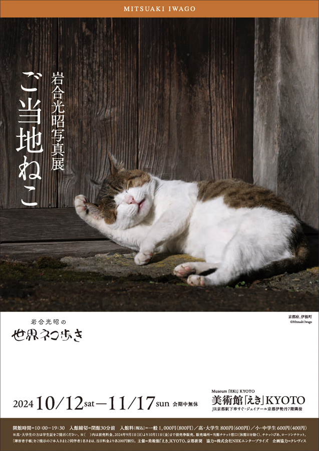 岩合光昭 「ご当地ねこ」 （美術館「えき」KYOTO） ｜Tokyo Art Beat