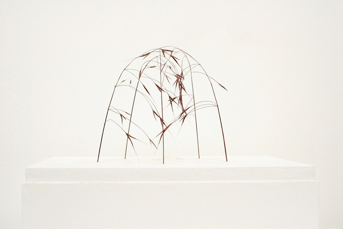 クリスティアーネ・レーア 展 （kōjin kyoto） ｜Tokyo Art Beat