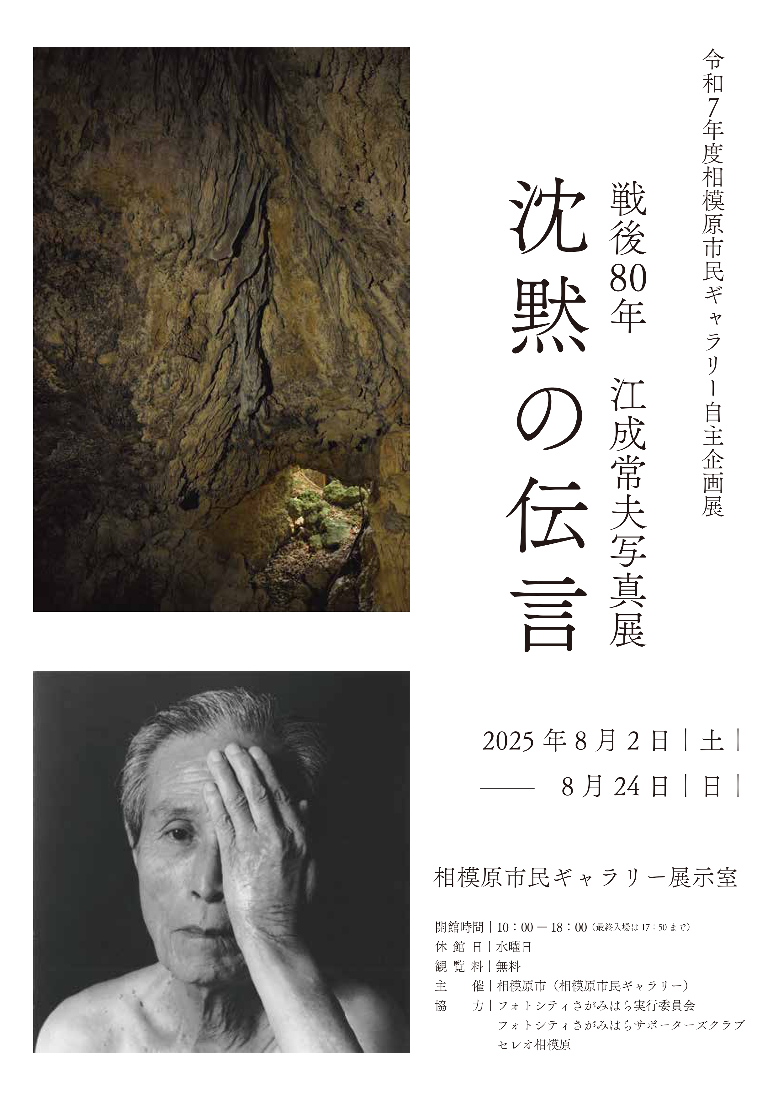 【更に値下げしました】絵画 Amazon.co.jp: 不可能美術館―盗難! 破壊! 失われた至宝の数々