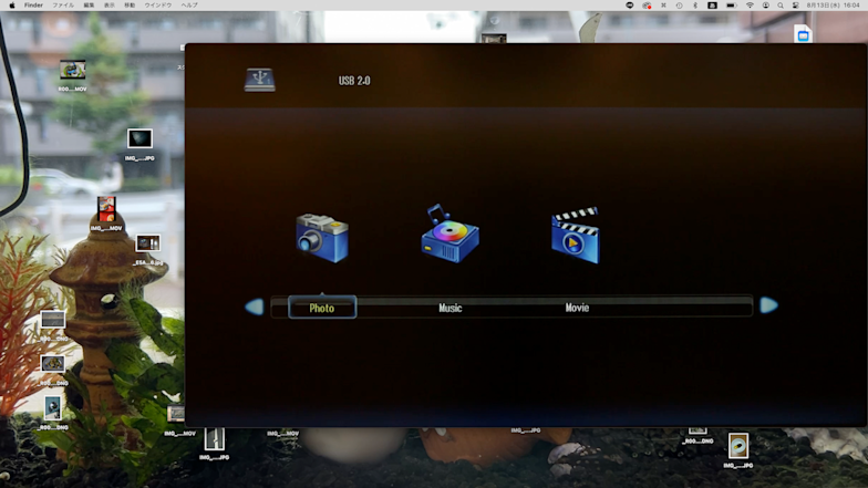 澤田華 「ビューのビュー（陳列窓、散歩）」 （LAG（LIVE ART GALLERY